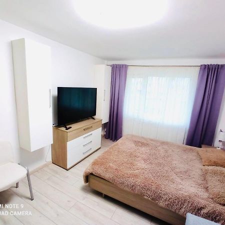 Garsoniera Daniela Apartment Tirgu Ocna Ngoại thất bức ảnh