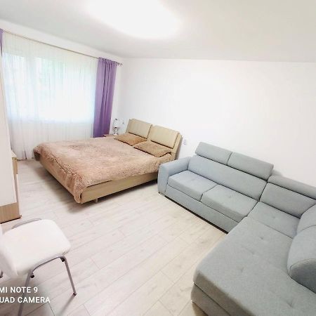 Garsoniera Daniela Apartment Tirgu Ocna Ngoại thất bức ảnh