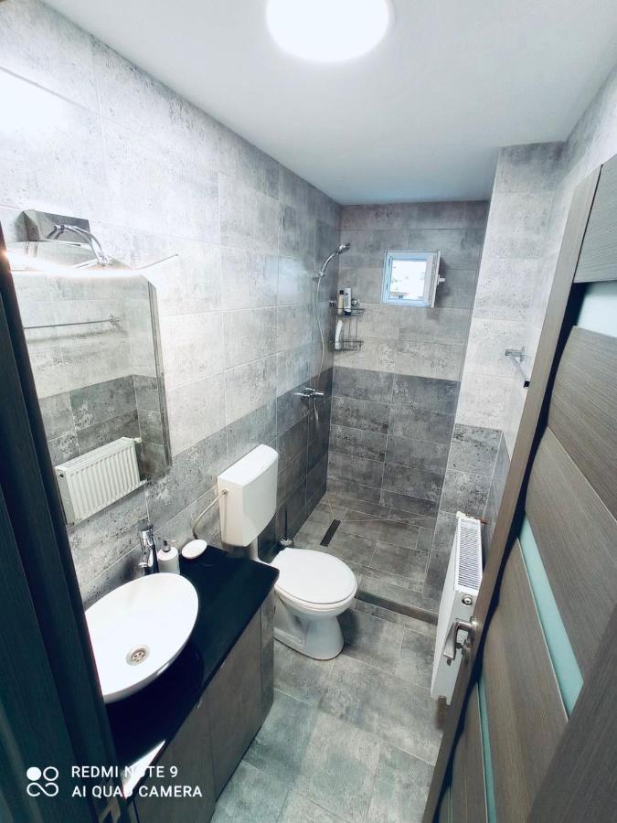 Garsoniera Daniela Apartment Tirgu Ocna Ngoại thất bức ảnh