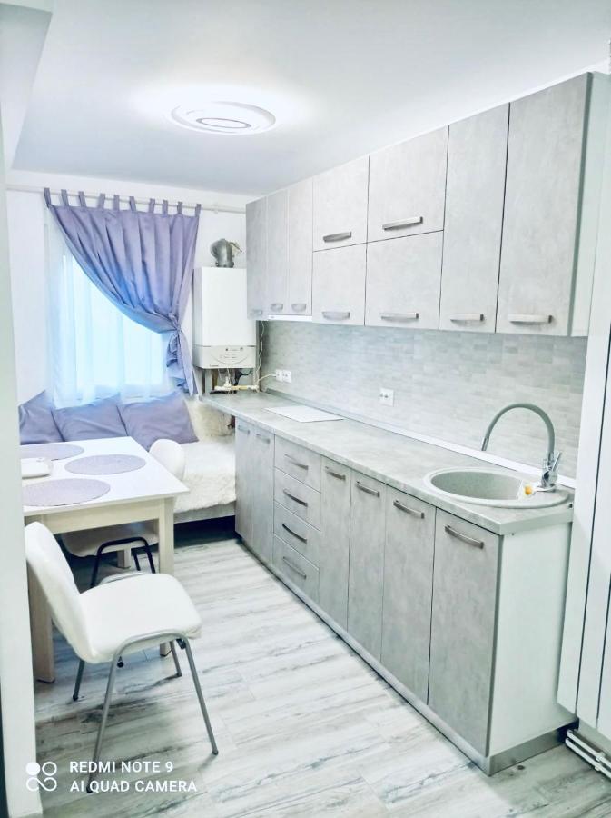Garsoniera Daniela Apartment Tirgu Ocna Ngoại thất bức ảnh