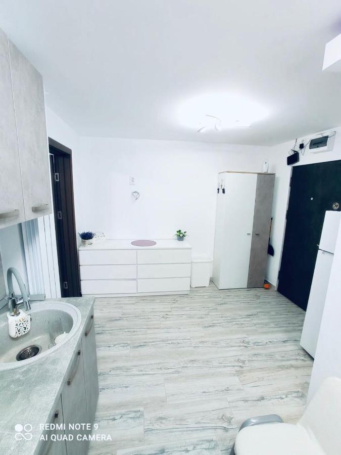 Garsoniera Daniela Apartment Tirgu Ocna Ngoại thất bức ảnh