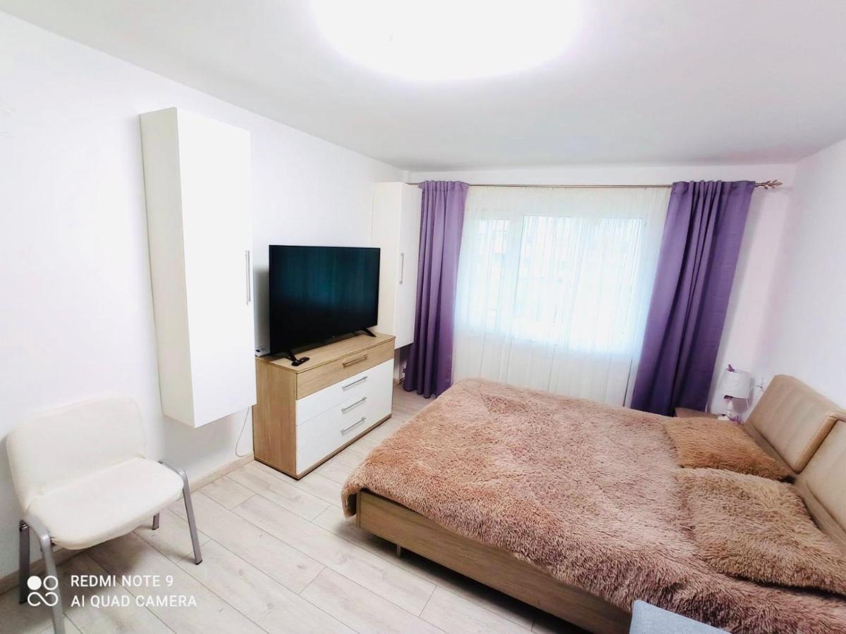 Garsoniera Daniela Apartment Tirgu Ocna Ngoại thất bức ảnh