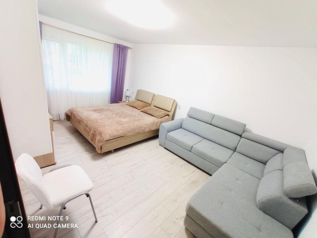 Garsoniera Daniela Apartment Tirgu Ocna Ngoại thất bức ảnh