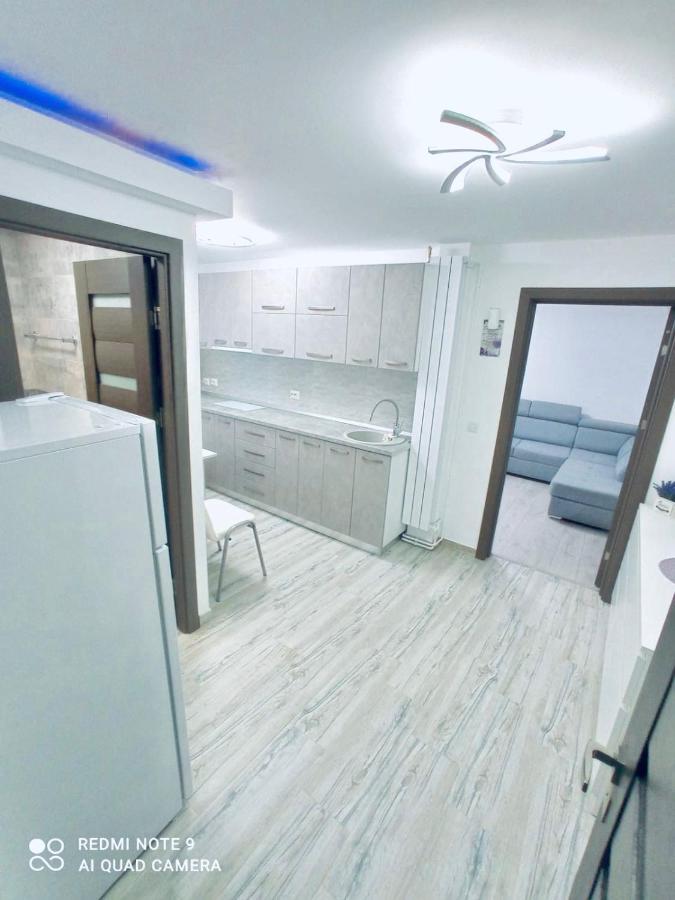 Garsoniera Daniela Apartment Tirgu Ocna Ngoại thất bức ảnh